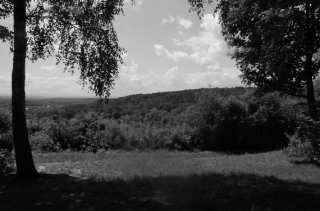 S01_0981.NEF