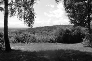 S01_0982.NEF