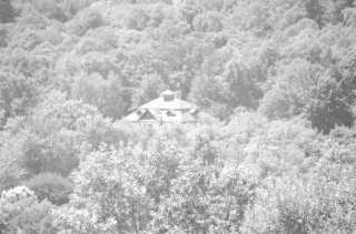 S01_0983.NEF