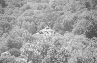 S01_0984.NEF