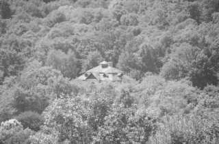 S01_0985.NEF