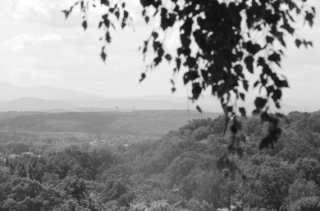 S01_0988.NEF