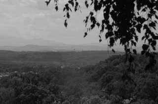 S01_0989.NEF