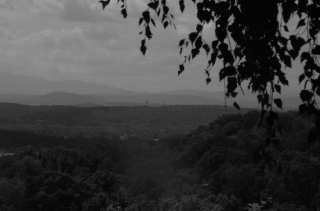 S01_0990.NEF