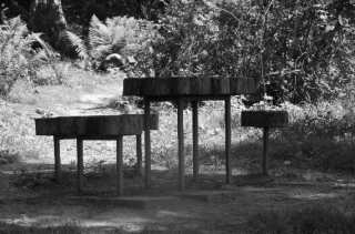 S01_0992.NEF