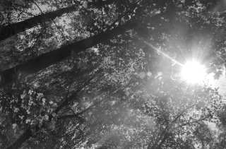 S01_0996.NEF