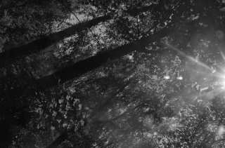 S01_0997.NEF