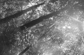 S01_0998.NEF