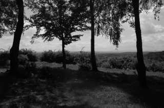 S01_0999.NEF