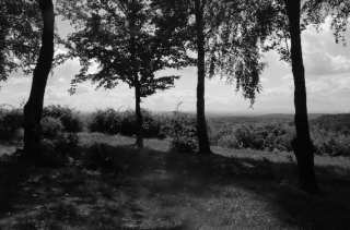S01_1000.NEF