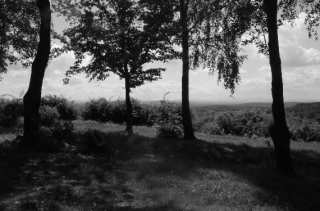 S01_1001.NEF