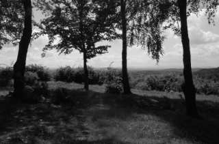 S01_1002.NEF