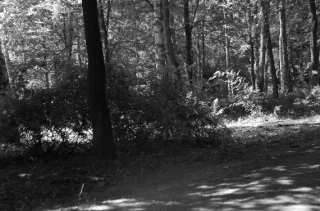 S01_1013.NEF