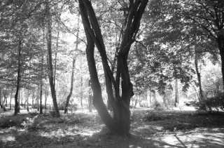 S01_1014.NEF