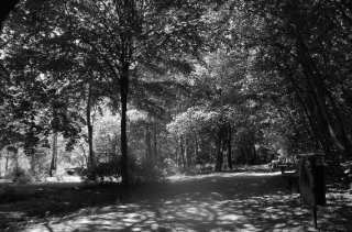 S01_1015.NEF