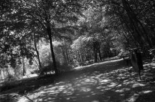 S01_1016.NEF