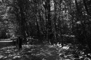 S01_1017.NEF