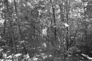 S01_1018.NEF