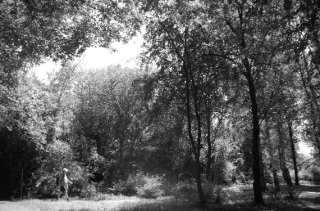 S01_1019.NEF