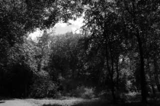 S01_1020.NEF