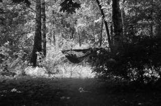 S01_1021.NEF