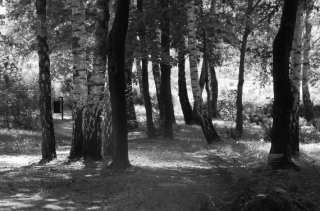 S01_1022.NEF