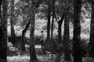 S01_1023.NEF