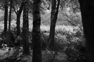 S01_1024.NEF