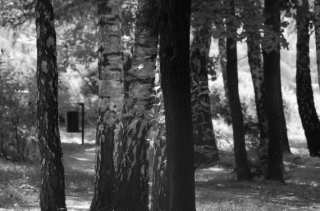 S01_1025.NEF