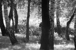 S01_1026.NEF