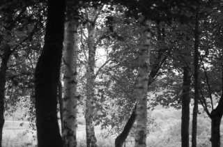 S01_1027.NEF