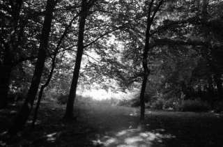 S01_1030.NEF