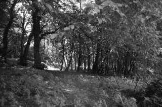 S01_1031.NEF