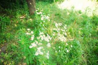 S01_1050.NEF