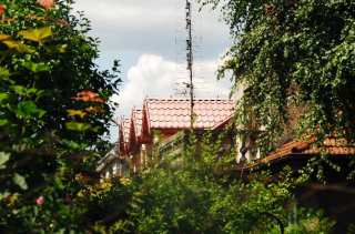 S01_1055.NEF