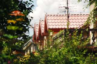 S01_1056.NEF