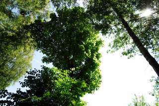 S01_1116.JPG