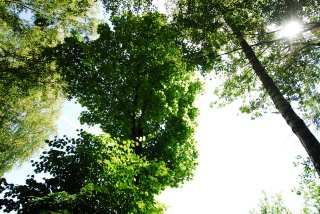 S01_1117.JPG