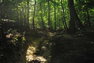 S01_1131.JPG