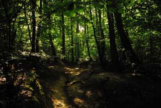S01_1132.JPG