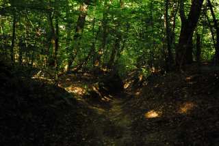 S01_1133.JPG