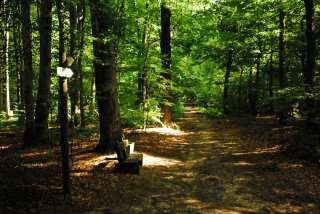 S01_1137.JPG