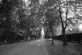 S01_1151.JPG