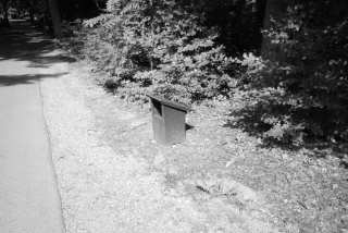 S01_1156.JPG