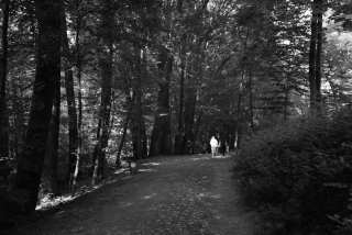 S01_1173.JPG