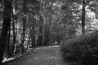 S01_1174.JPG