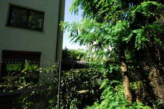 S01_1249.JPG