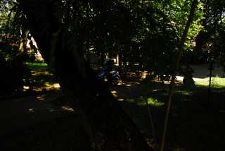 S01_1253.JPG