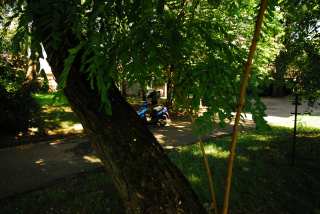 S01_1254.JPG