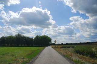 S01_0366.NEF